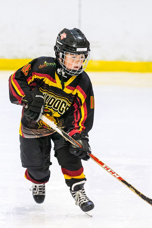 Bradford Ice Arena
